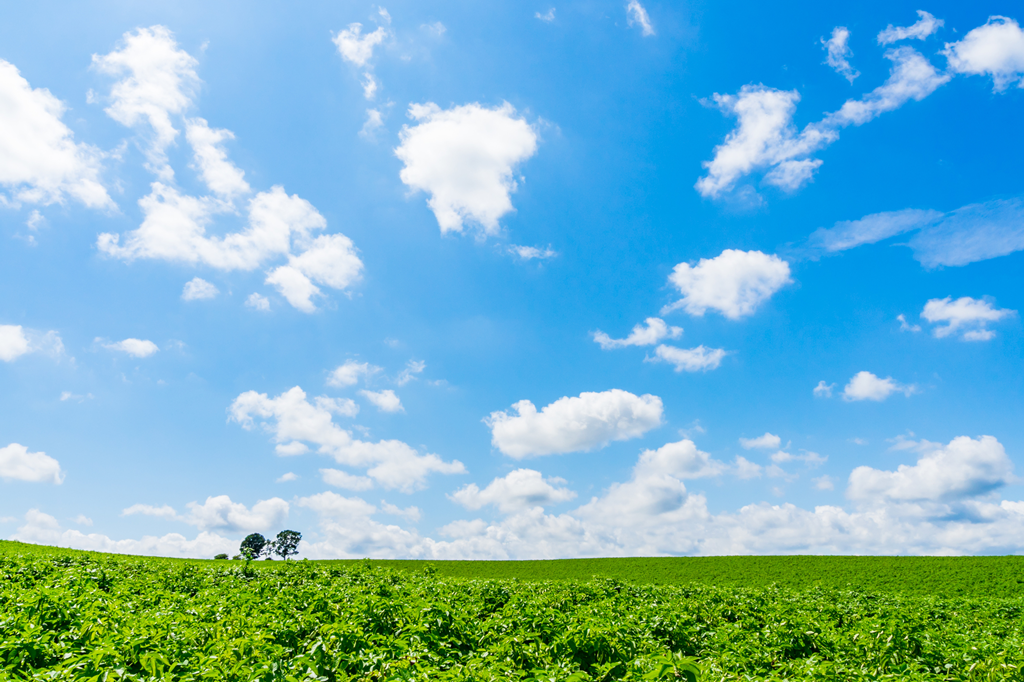 s-footer_bg